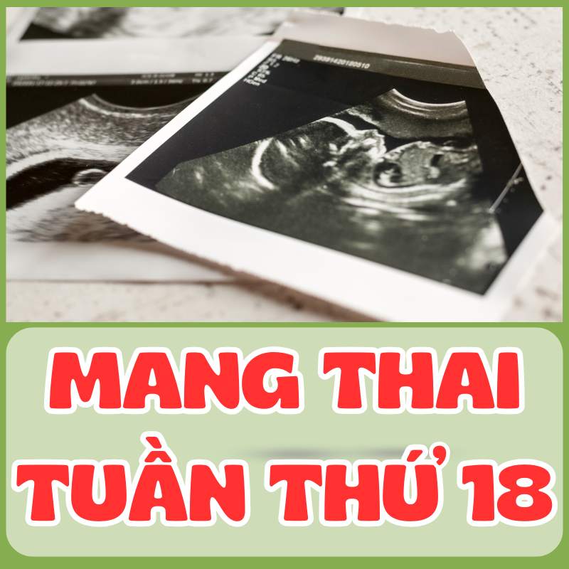 siêu âm thai nhi tuần thứ 18